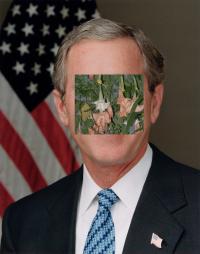 "George W. Bush" | DER GREIF