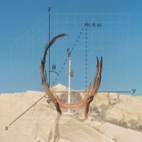 On being Watched | DER GREIF