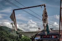 From the series "Calmistery" | DER GREIF