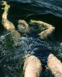 Björn Nilsson, Farsta, Sweden, SE, 2014 | DER GREIF