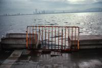 From the series "Calmistery" | DER GREIF