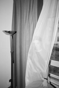 Those Curtains | DER GREIF