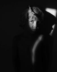 Untitled | DER GREIF