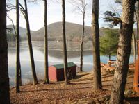 From the series "Craiglist" | DER GREIF