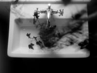 "Sink" | DER GREIF