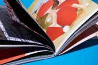 Ping Pong Binding | DER GREIF