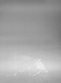 From the series "The Elephant's Foot" | DER GREIF