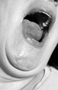 Dorka Székely, From the series "Not Quite Close", Budapest, Hungary, 2024 | DER GREIF