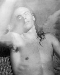 Biesentales | DER GREIF