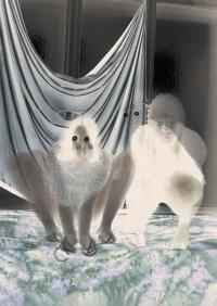 Agate Tūna, Untitled from the series "Familiar" | DER GREIF