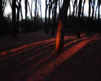 It’s Darkest Before The Dawn | DER GREIF