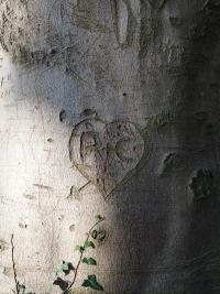 "Mark Making" | DER GREIF