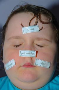 Karolina Wojtas, Abzgram, 2017–2023 © Karolina Wojtas | DER GREIF