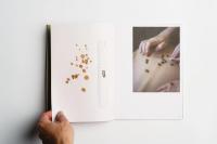 "Vorwiegend festkochend / Sprouts & Skins" photobook | DER GREIF