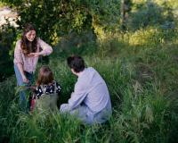 "Ladybugs Mating on Julie's Arm" | DER GREIF