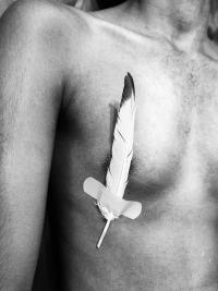 DER GREIF