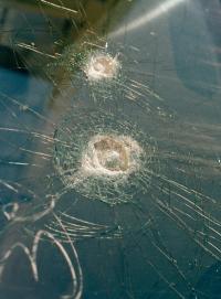 "Buswindow" | DER GREIF