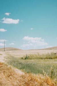 "a landscape" from the series "DREAMING," Italy, 2026 | DER GREIF
