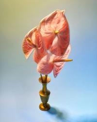 Paolo Prendin, "Le fleur du mal", 2018. 72 x 90 cm. | DER GREIF