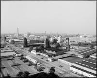 Ruben Accou ‘Gent’ | DER GREIF