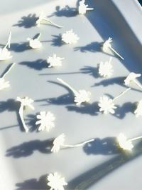 Anastasiia O., from the series "Today I saw a sunflower but it didn’t grow" | DER GREIF