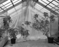 Balázs Turós, from the series "The Nature of Things." | DER GREIF