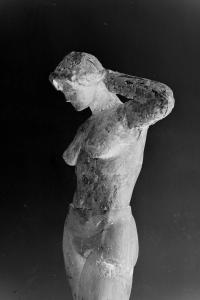 Daria Nazarova, from the series "Natura" | DER GREIF