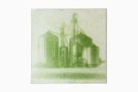 From the series "Bloom", Maumee River Watershed, United States, 2026 | DER GREIF