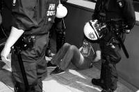 The Quiet Rise | DER GREIF