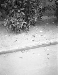 From the series "I’ve Never Seen My Father Cry" | DER GREIF