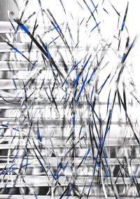 23082023-4 | DER GREIF