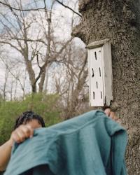 From the series "Ysanthem" | DER GREIF