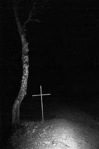 Daria Nazarova, from the series "Natura" | DER GREIF