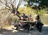 "Lucidity", 2025 | DER GREIF