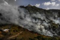 Rafael Vilela, from the series "Forest Ruins" | DER GREIF