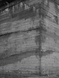 From the series "Whiteout" | DER GREIF