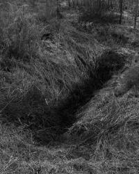 Untitled | DER GREIF