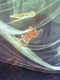 "Les enfants et le voile" | DER GREIF