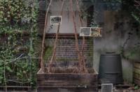 Microbial Landscape 2; 3; 5, Installation View | DER GREIF