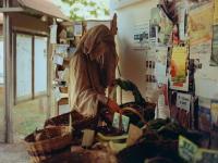 "Guillaume et les courses" | DER GREIF