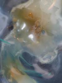 Detail View | DER GREIF