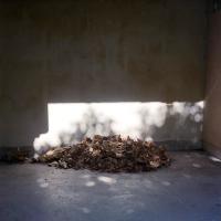 Lauren Kaigg, "Glimmer" from the series Tempus Edax Rerum, 2020. | DER GREIF
