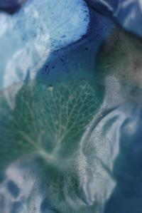 Untitled | DER GREIF