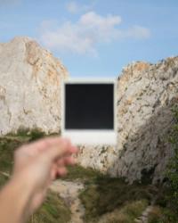 Michael Almiroudis (Athens, Greece), "D" | DER GREIF