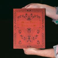 “Dead Trees Speak to Me” photobook by Tabitha Barnard | DER GREIF