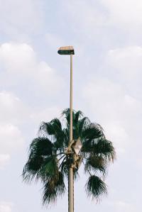 Daniel Paramio, “The Lamp”, 2023. | DER GREIF