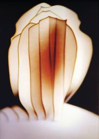 Sebastian Lendenmann, 1118_003, CHE, 2024 | DER GREIF