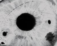 I can't bear for you to see me cry (WIP) | DER GREIF