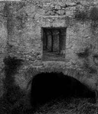 Untitled | DER GREIF