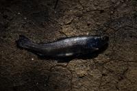 From the series "The life of water, presence and absence", Departamento de La Paz, Bolivia, 2022 | DER GREIF